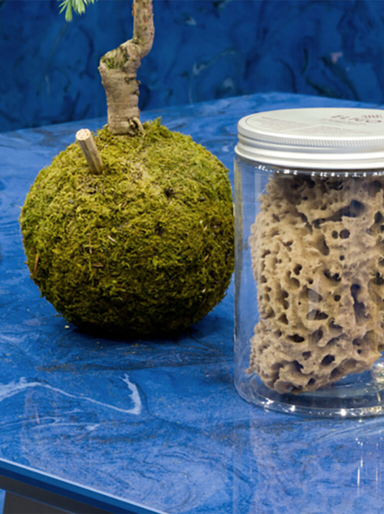 Wnętrze pomyślane jako ekosystem