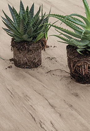  Los postes de la Serenísima República de Venecia se convierten en sofisticada elegancia