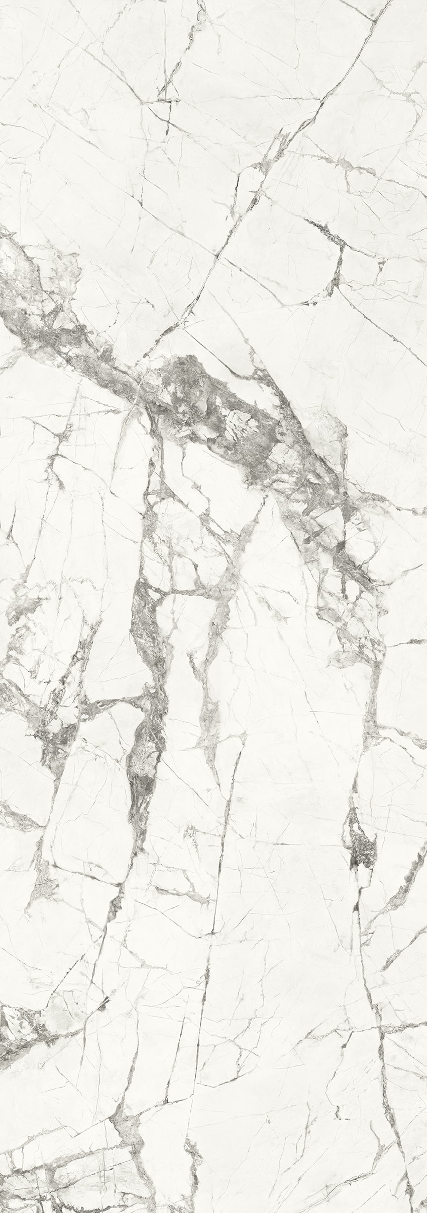 Polished - 11