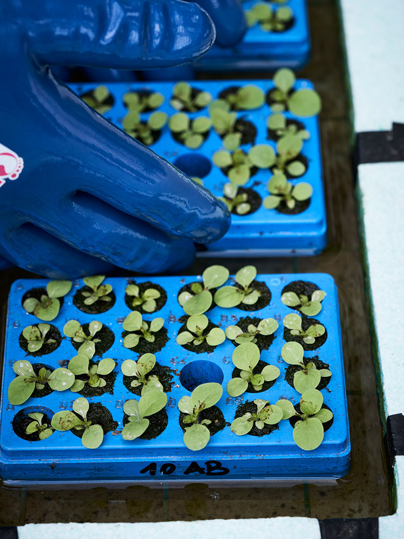 The commitment to a more sustainable production process